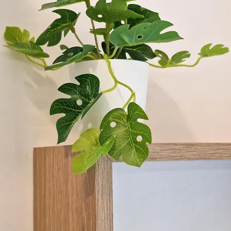 Leo's Aparment 利多迪费尔莫